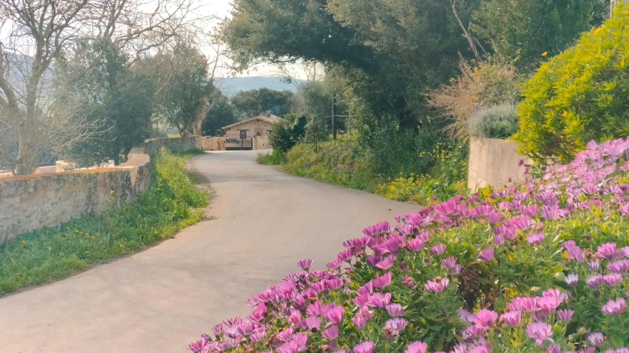 La Quinta Luxury Palace 아르누에로 외부 사진